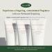 Shop Refresh Moment Perfume Treatment - Jeju Camellia & Fig Fog | International Shipping Available - Buy Online on GoSupps.com