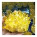 300-350g Yellow Electroplated Natural Crystal Cluster Raw Rock Quartz Flowers Aura Stones Gift Modern House Decor Crystal