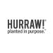 Hurraw! Pineapple Lip Balm 2 Pack: Organic Certified Vegan Cruelty and Gluten Free. Non-GMO 100% Natural Ingredients. Bee Shea Soy and Palm Free. Made in USA - Buy Online on GoSupps.com