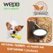 Shop WEPO Dog Frisbee Set - 3 Durable Rubber Toys for Small Dogs - Ideal for Land & Water - 15cm - Red/Purple/Green - Buy Online on GoSupps.com