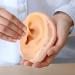 Shop ibasenice Prank Ear Silicone Model - Realistic Fake Human Ear Props for Hilarious Gags | International Shipping - Buy Online on GoSupps.com