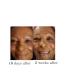 Best Advanced Anti-aging Face Brightener Organic Antiwinkles Acetyl-Glucosamine Serum + vitamin B3 (Niacinamide) Efficient Anti-aging Face Faster Wrinkle reduction Re-activate skin Youth (30 ml) - Buy Online on GoSupps.com