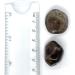 Smoky Quartz Medium Crystal Tumbled Stone - 1 Pc - Buy Online on GoSupps.com