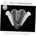 Toddmomy 2pcs Fruit Shaping Mold Modeling Gardening Supplies Transparent Color 21x4cm - Buy Online on GoSupps.com