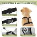 Slowton Dog Harness with Safety Belt for Cars - Breathable Dog Seat Belt with 2 Carabiner Hooks - Gray (Large) - Buy Online on GoSupps.com