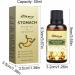 Belly Slim Oil - Natural Appetite & Relaxation Blend | Olive Rose & Grape Seed Oils | 50ml Kazuko - Buy Online on GoSupps.com