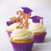 Graduation Cupcake Toppers Grad Party Decoration Food Picks Congrats Glitter Diploma Cap School Colors Supplies 24 PCS Purple Orange - Buy Online on GoSupps.com