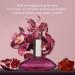 Calvin Klein Euphoria Eau de Parfum Chypre Women's Perfume With Notes of Pomegranate Black Orchid Lotus Blossom & Mahogany Wood Long Lasting Fragrance 3.3 Fl Oz (Pack of 1) - Buy Online on GoSupps.com