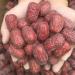 Zercumm First Class Gray Jujube 500G Uncleaned with Soil Large Red Jujube Bulk Meat Thick Sweet Dried Gray Jujube - Buy Online on GoSupps.com