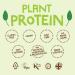 Protein Balls Peanut Butter Flavour by The Protein Ball Co - 100% Natural Plant Based Vitamin Enriched Snacks - 10 x 45g Bags - Gluten Free & High Fibre - Buy Online on GoSupps.com