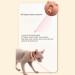 360 Degree Red Light Projection Cat Laser Collar with Adjustable Angle Automatic Standby for 4 Hours Low Noise Operation USB Charging Interactive Electric - Buy Online on GoSupps.com