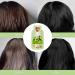 Buy Bubble Plant Hair Dye - Natural Botanical Hair Coloring Cream for Men & Women | Pure Plant Extracts for Black Hair Color - Buy Online on GoSupps.com