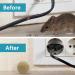 SUAVEC Rodent Repellent 8 Pack - Peppermint Oil Mouse and Rat Deterrent for House, RV, and Outdoor Use - Buy Online on GoSupps.com
