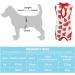 Lxwsin Cat Recovery Suit - Breathable Cotton Anti-Licking Pet Protection Clothing for Cats | Ideal for Abdominal Wounds & Weaning (M L) - Buy Online on GoSupps.com