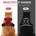 Breakproof Cat Leash Set & Adjustable Soft Kitten Vest with Reflective Stripes | Red Cat Dishes for Small Kittens - Buy Online on GoSupps.com