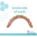 Instant Smile - Large Handmade Veneer - Original - Fix Your Smile in Minutes! - Buy Online on GoSupps.com