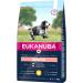 Eukanuba Senior Dog Food with Fresh Chicken for Medium Breeds | Premium 3 kg Dry Food for Senior Dogs - Buy Online on GoSupps.com