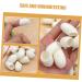 VILLCASE Lot de 20 Boules Exfoliantes Naturelles Soie Ouverture Facile pour Nettoyage Doux Visage Peau Sensible Visage et Corps - Buy Online on GoSupps.com