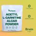 Purisure Acetyl L-Carnitine (ALCAR) Powder 250g | Memory Sharpener & Metabolism Support | Pure Cognitive Performance Enhancer | 500 Servings - Buy Online on GoSupps.com