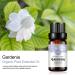 2-Pack Gardenia Essential Oil 100% Pure Organic for Diffuser, Massage, Skin Care, Sleep - 10ML - Buy Online on GoSupps.com