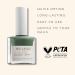 NAILKIND Green Daze Khaki Nail Polish - Vegan & Peta Certified - Long Lasting & Chip Resistant - 8ml - Buy Online on GoSupps.com