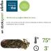 Japanese Cherry Blossom Green Tea - French Tea Counter - Cherry Green Tea & Almond - Maison Fran aise - Loose Tea (80 GR) - Buy Online on GoSupps.com