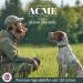Acme Dog Whistle No. 210.5 | Free Pipe Band | Loud & Audible Dog Training | Professional Recall - Chocolate Brown - Buy Online on GoSupps.com