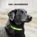 MASBRILL Waterproof LED Dog Collar - Adjustable USB Charging Neck Band for Small & Medium Dogs - 3 Lighting Modes - Green (M: 38-50cm) - Buy Online on GoSupps.com