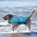 Emust Adjustable Dog Life Jacket - Small Medium & Large | Water Safety Gear for Pets - Buy Online on GoSupps.com