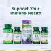 Nature's Bounty Elderberry Gummies 100mg - 70 Count - Immunity Support - Buy Online on GoSupps.com