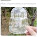 UPKOCH 4 Pcs Fruit Shaping Mold Buddha Shaped Vegetable Shaping Mold Ginseng Shaping Tools Growing Mould Growth Forming 4pcs - Buy Online on GoSupps.com