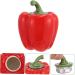 Zerodeko Decor Ceramic Vase Porcelain Tea Tin Airtight Canister Tea Storage Can Container Seal Jar - Buy Online on GoSupps.com