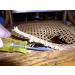 Pressed Cane Webbing Kit - 18x18 Fine Open Mesh, 6' 8 Spline, 5 Wood Wedges, Instruction Booklet by Ed Hammond - Buy Online on GoSupps.com
