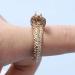 Vintage Gold Snake Stud Earrings | Dangle Punk Serpent Jewelry for Women & Girls - Perfect Gift - Buy Online on GoSupps.com