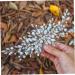 Bride Wedding Hair Comb Hair Accessories with Crystal Bridal Side Combs Headpiece for Women and Girls Hair Piece Comb. Wedding Hair Comb - Buy Online on GoSupps.com
