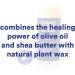 Camille Beckman Cough & Cold Balm 2.2oz - Natural All-in-One Formula - Buy Online on GoSupps.com