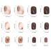 Gold & Brown Short Press On Nails - 24PCS Reusable Artificial Acrylic False Nails for Women - Buy Online on GoSupps.com