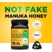 Manuka Gold 100 MGO Manuka Honey 500g - Pure, Certified, Premium Quality - Buy Online on GoSupps.com