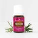 Young Living Purification Essential Oil Blend - 5 ml - 6 Unique Oils Formula - Buy Online on GoSupps.com