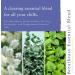 Absolute Aromas Breatheasy Essential Oil Blend 10ml - Pure & Natural for Aromatherapy and Diffusers - Buy Online on GoSupps.com