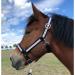 Horse for horses cold blood |Halfer XXFull stable halter |Halft adjustable 2 subject on chin straps & neck pieces (black and white XXFull (cold blood)) black and white xxfull (cold blood)