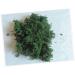 LIFKICH Fake Moss 3 Packs Fairy Garden Plants Dried Moss Dried Plants Decorative Moss Dried Lichen Bonsai Artificial Dried Moss - Buy Online on GoSupps.com