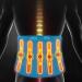 Self-Heating Lumbar Support Belt for Men & Women | Tourmaline & Magnetic Pain Relief | 9-Piece Spine & Posture Correction - XXL A - Buy Online on GoSupps.com