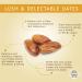 Organic Pitted Dried Dates - Sunny Fruit - (5) 1.76oz Portion Packs | Purely Dates, No Added Sugars, Sulfurs, or Preservatives | Non-GMO, Vegan, Halal & Kosher - 1.76oz (Pack of 5) - Buy Online on GoSupps.com