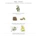 Panier des Sens Honey Shower Gel - Luxurious and Nourishing - Buy Online on GoSupps.com