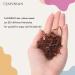 Elastic Hair Bands 1000pcs Brown Ponytail Holders Soft Hair Ties Styling - JASVRELIN - Buy Online on GoSupps.com