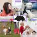 Leaving 3 Pack - Washable Package Trousers for Dogs | Stylish & Comfortable Pet Apparel - Buy Online on GoSupps.com
