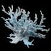Jinminamz Blue Artificial Coral Ornament for Aquarium | Realistic Plastic Coral Plants & Landscape Decoration - Buy Online on GoSupps.com