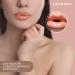 Skincare By Laurens Tinted Lip Oil - Ultra-Hydrating Lip Care Oil with Shea Butter, Jojoba Seed & Vitamin E - Peach Color Lip Moisturizer - Buy Online on GoSupps.com