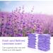 Lyppul 12 PCs Diaper Pail Refill Film - Compatible with Genius & Tommy Tipee - 4.5m Plastic Bags for Baby Care - Purple - Buy Online on GoSupps.com